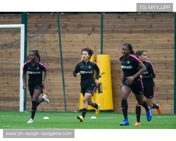 法甲赛季最佳球迷支持活动：球迷支持与互动活动