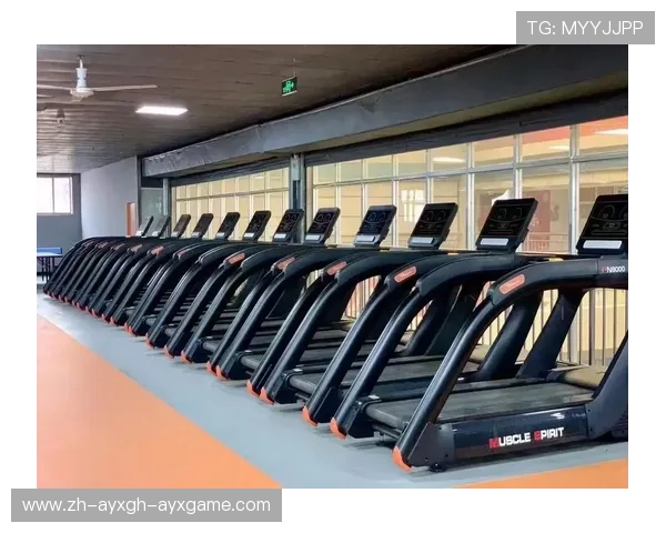 高效私教课程离不开的10大健身器材解析 高效私教课程离不开的10大健身器材解析